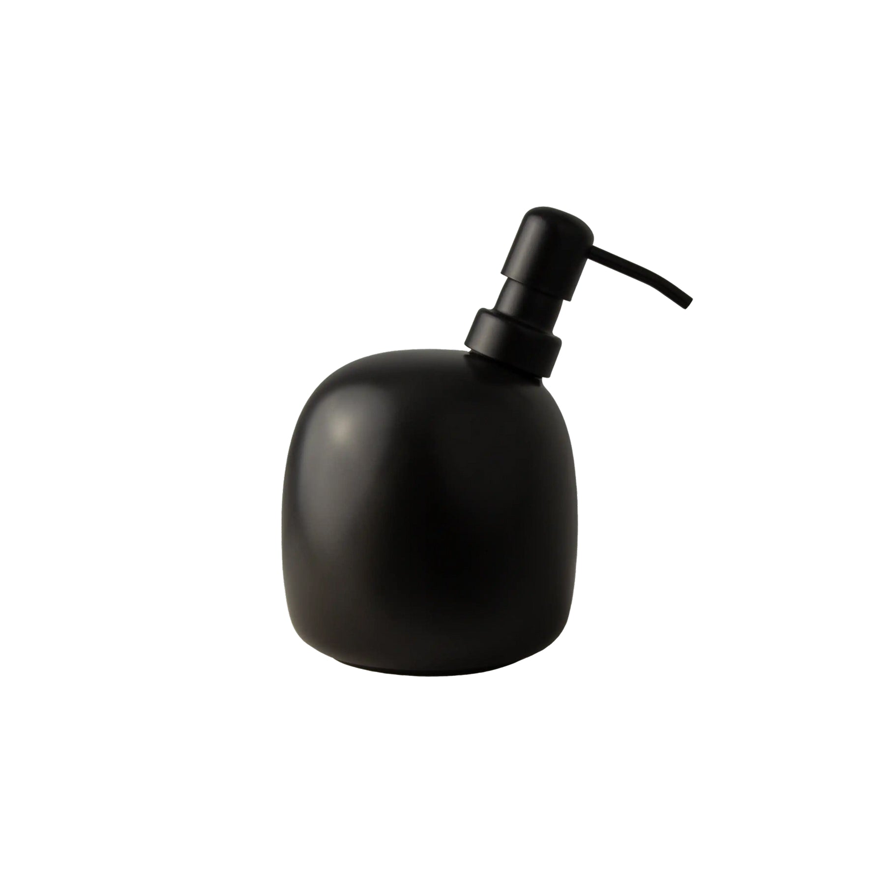 Kiwi Soap Dispenser