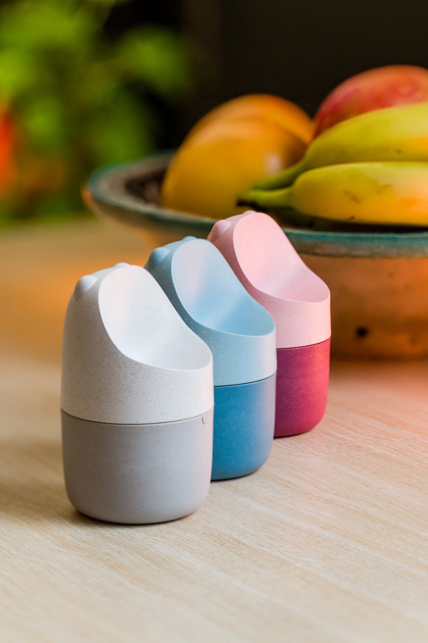 Fruit Fly Trap - KONNA