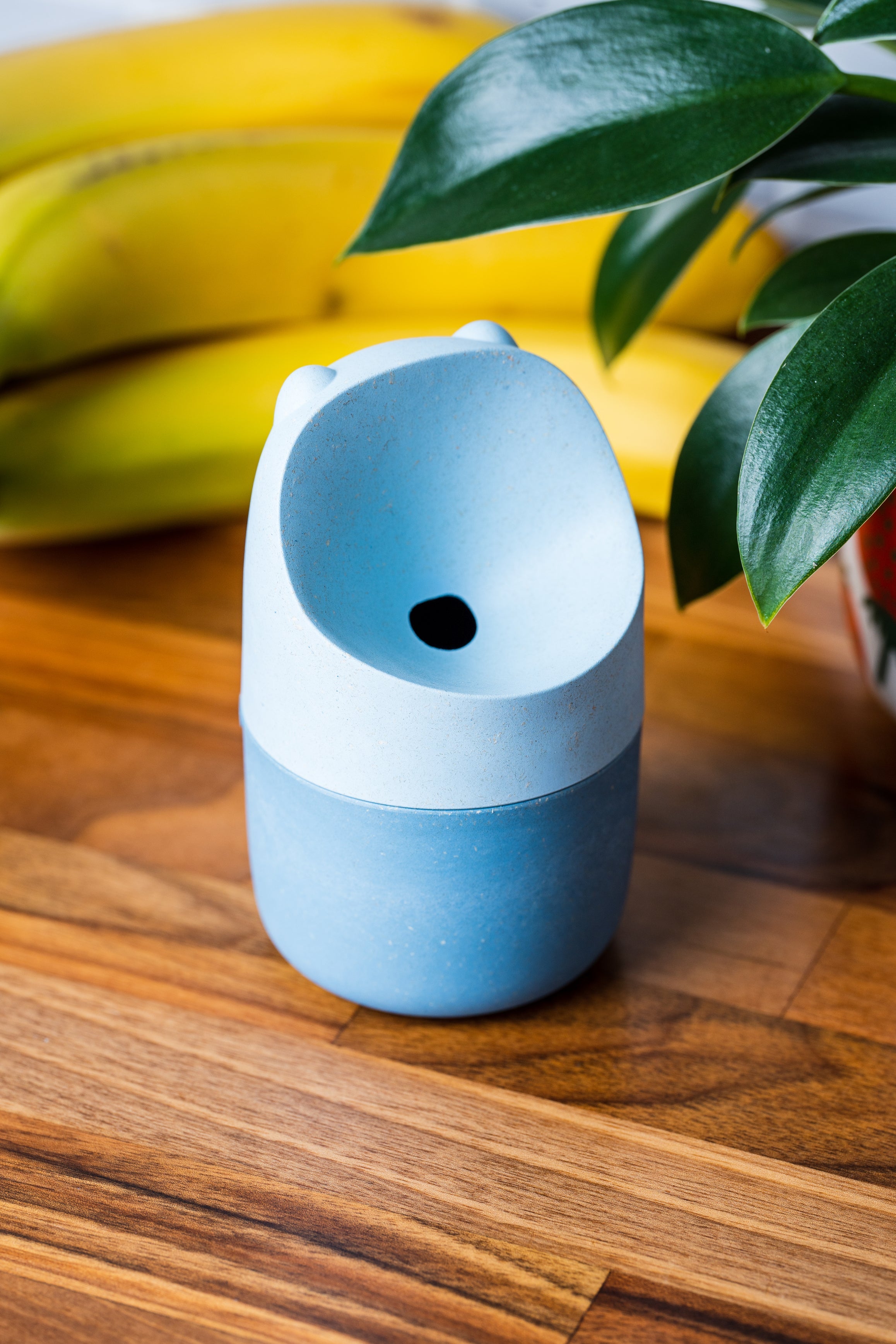 KONNA Fruit Fly Trap - Lake Blue HAPPY SiNKS